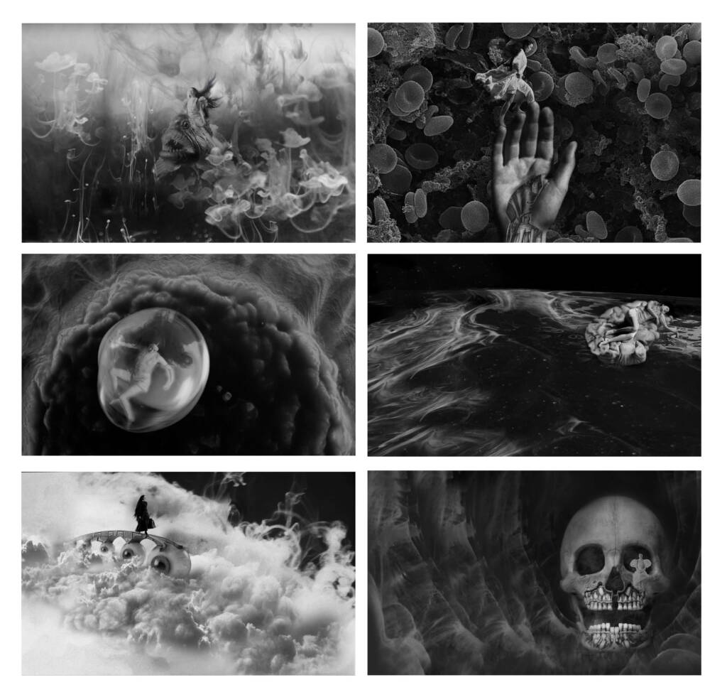 Poor Things Chapter Heading Concept Art by Plum Woods and Shona Heath 2021