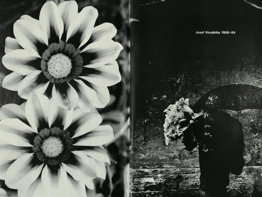 COMME des GARÇONS Six
Number 8 / 1991 475813468.jpg