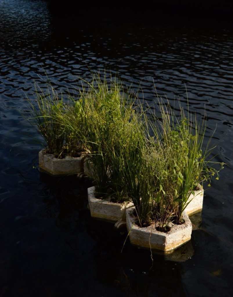 RISD students pioneer floating mycelium pods_2