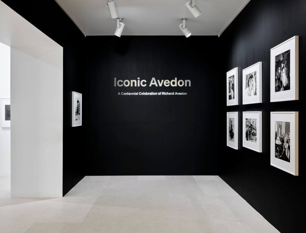 Iconic Avedon-4