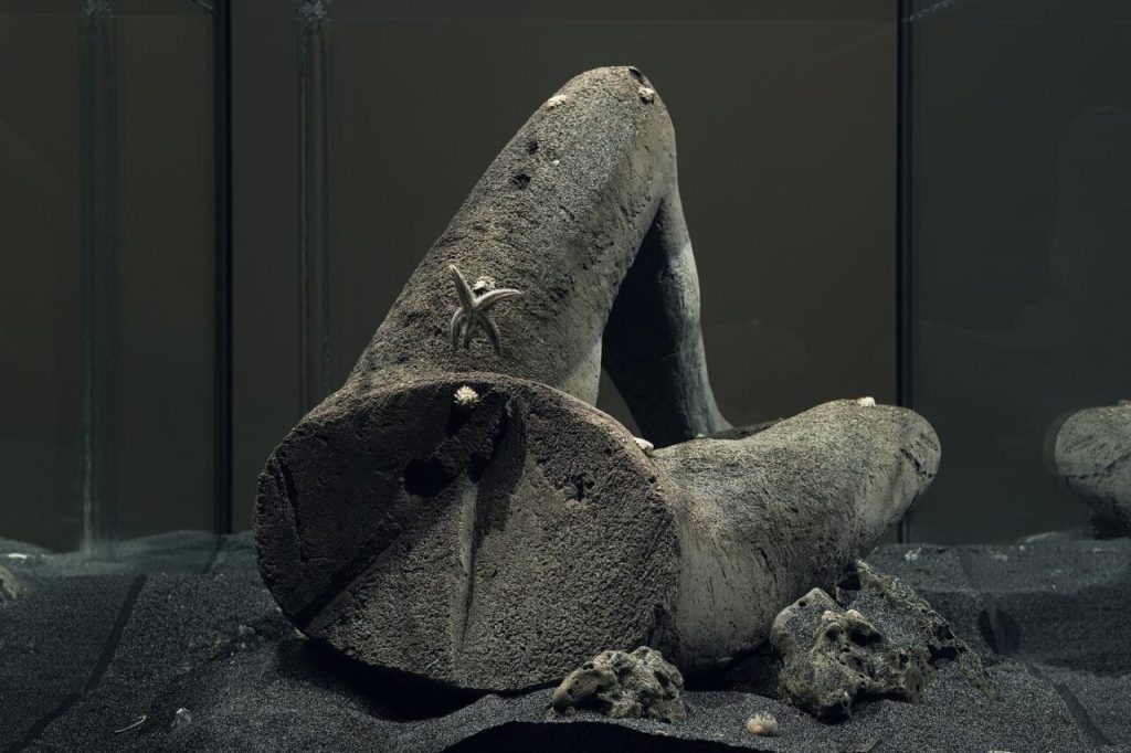 PIERRE HUYGHE, Abyssal Plane, 2015
