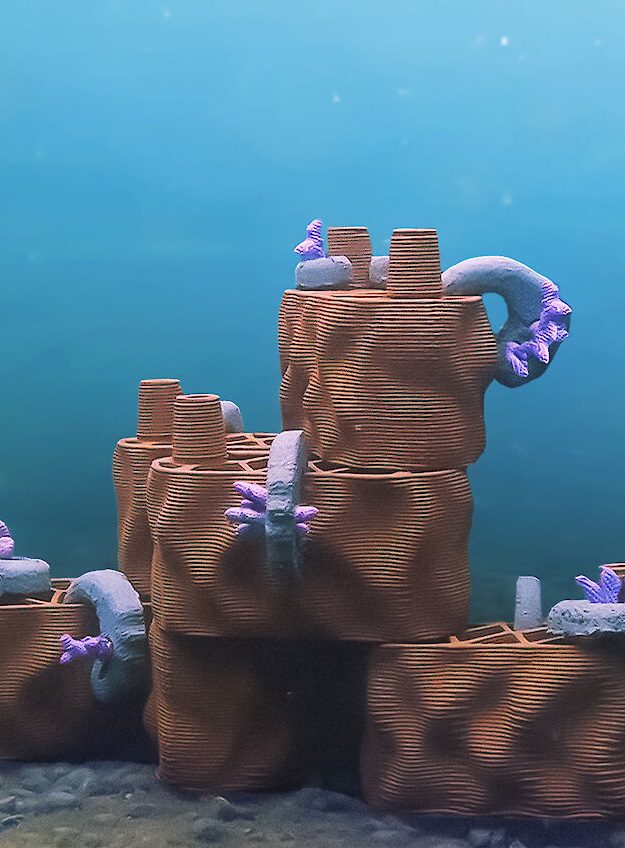 Corallum - Life Under Water-2