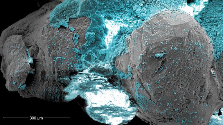 Sustainable solutions for coastlines