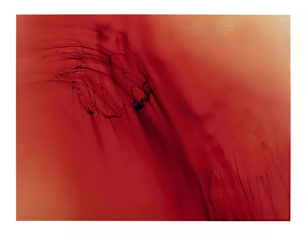 Wolfgang Tillmans 1