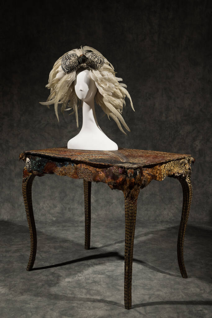 Fashioning Wonder: A Cabinet of Curiosities 9