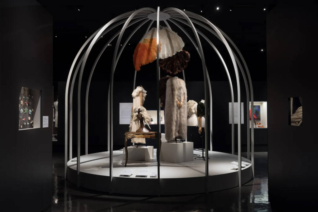 Fashioning Wonder: A Cabinet of Curiosities 1