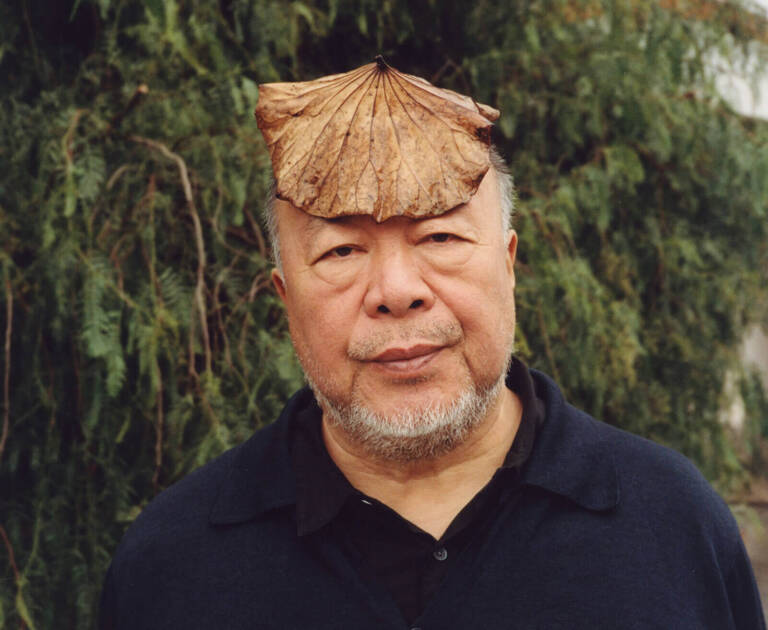 Ai Weiwei: Guiding rationality