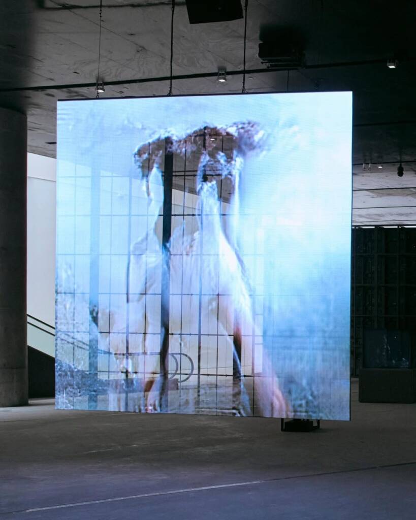 Pierre Huyghe’s living systems 3