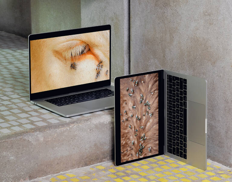 Formafantasma transforms Negozio Olivetti into a lab for rethinking