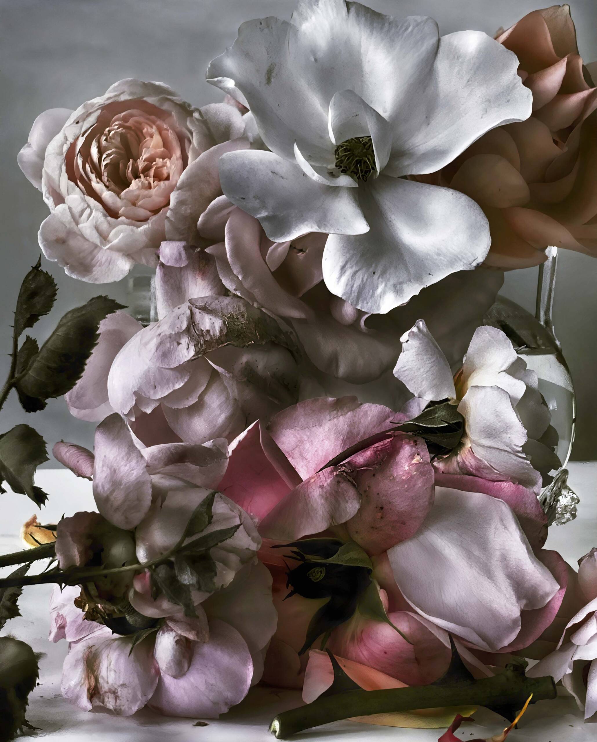 NICK KNIGHT: Directing the imagination 3 NICK KNIGHT: Directing the imagination 4