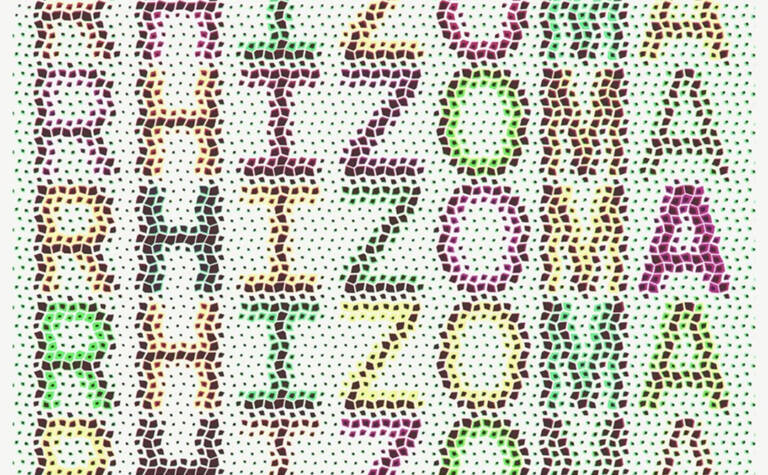 rhizome, MASEREEL arts centre
