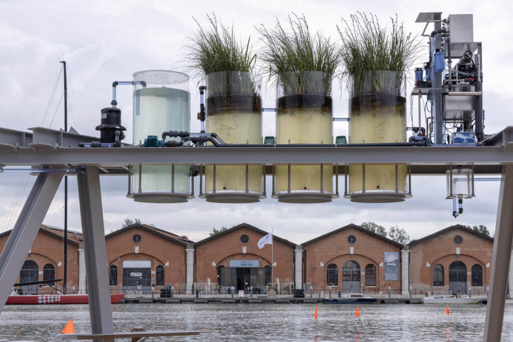 Sensing the future: Venice Architecture Biennale 2025 5 Venice Architecture Biennale, venice architecture biennale 2025, Diller Scofidio + Renfro, Andrea Faraguna