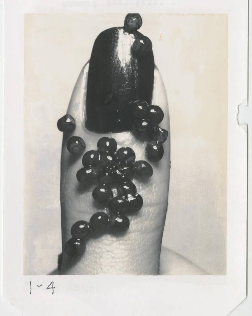Donna Trope
Carole Lambert 
donna trope photographer 