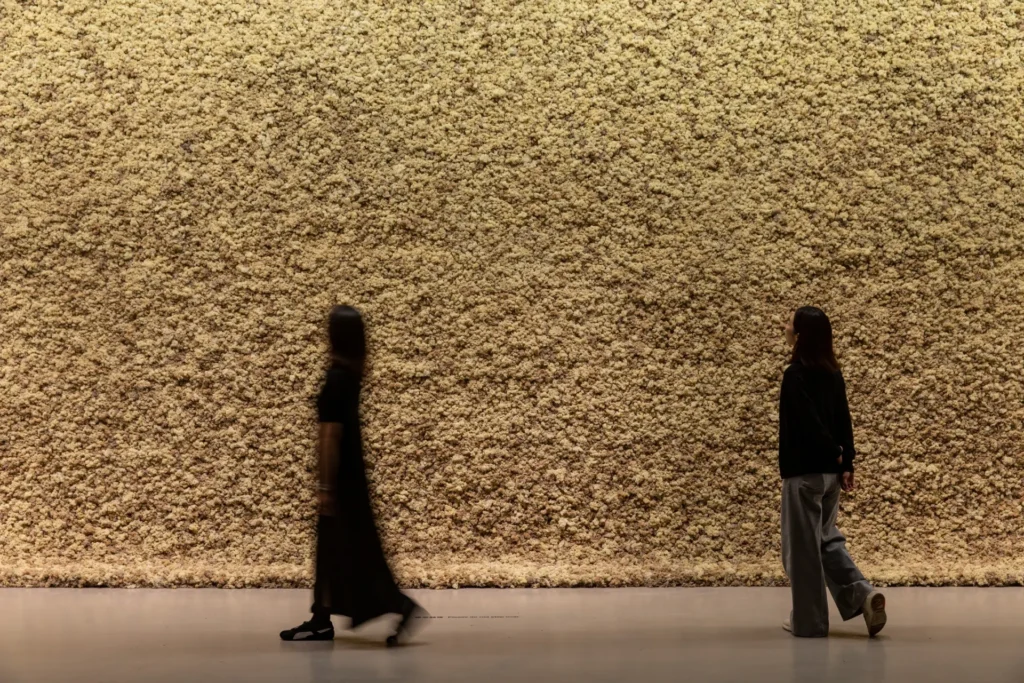 Olafur Eliasson exhibition 'Your curious journey' opens at Taipei Fine Arts Museum 6 olafur eliasson exhibition
relationship between humans and nature