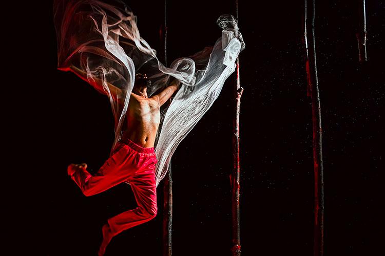 Biennale Danza
Wayne McGregor
International Festival of Contemporary Dance 
