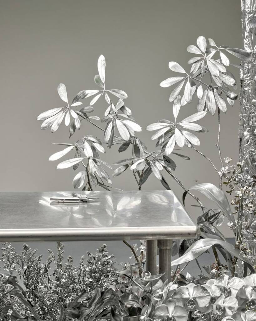 harry nuriev design
flower room
floral composition
