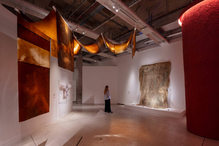 More than Human more than human exhibition beyond human beyond human design