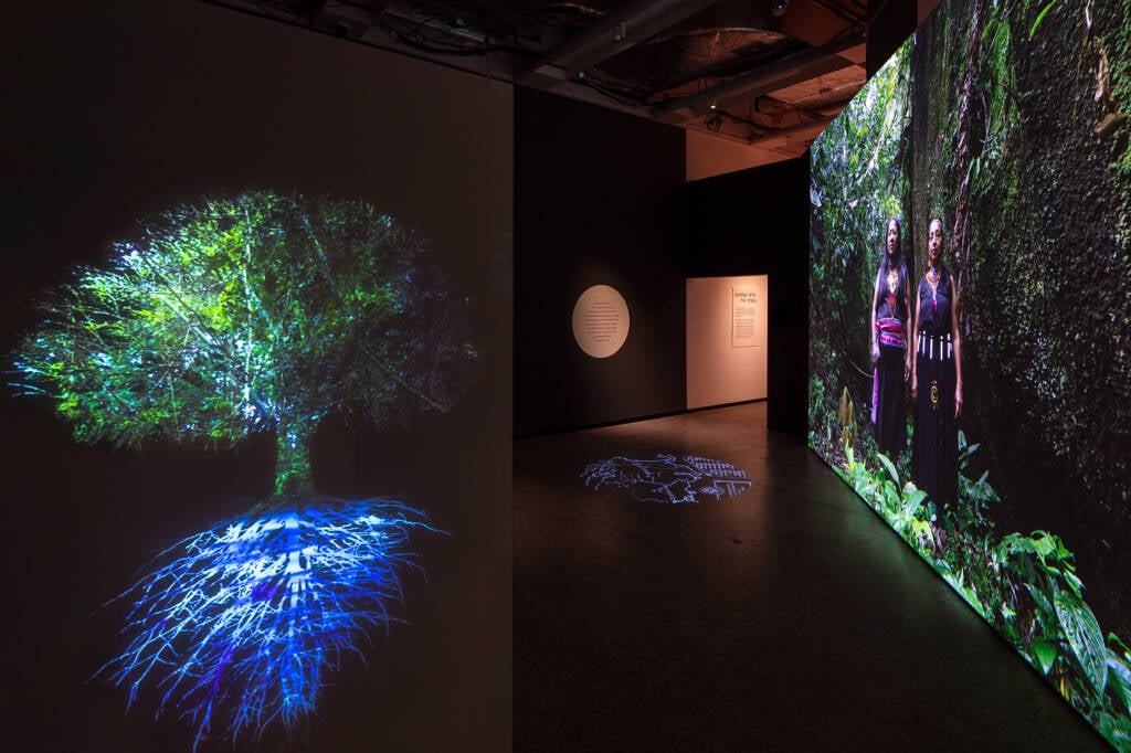 A More Than Human exhibition reimagines the future of design 7 More than Human
more than human exhibition
beyond human
beyond human design
