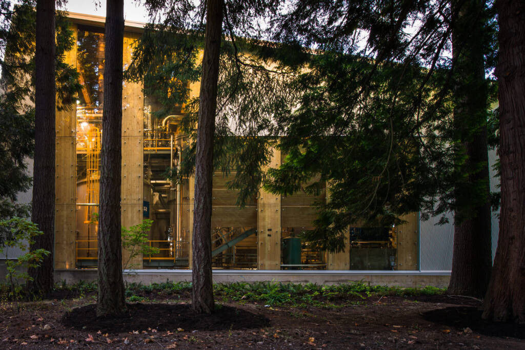 What is Biophilic Design