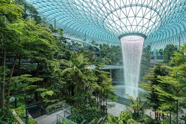 What is Biophilic Design