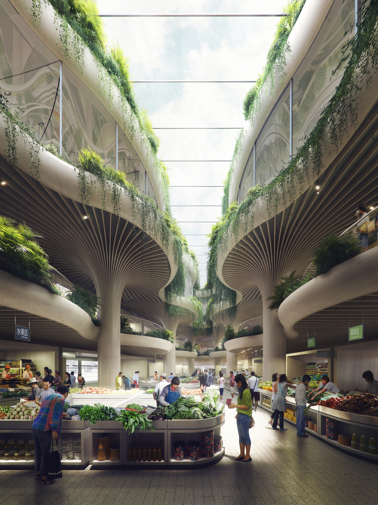 What is Biophilic Design