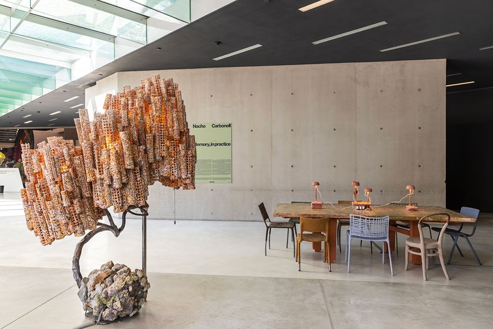 nacho carbonell
experimental design
design programme
