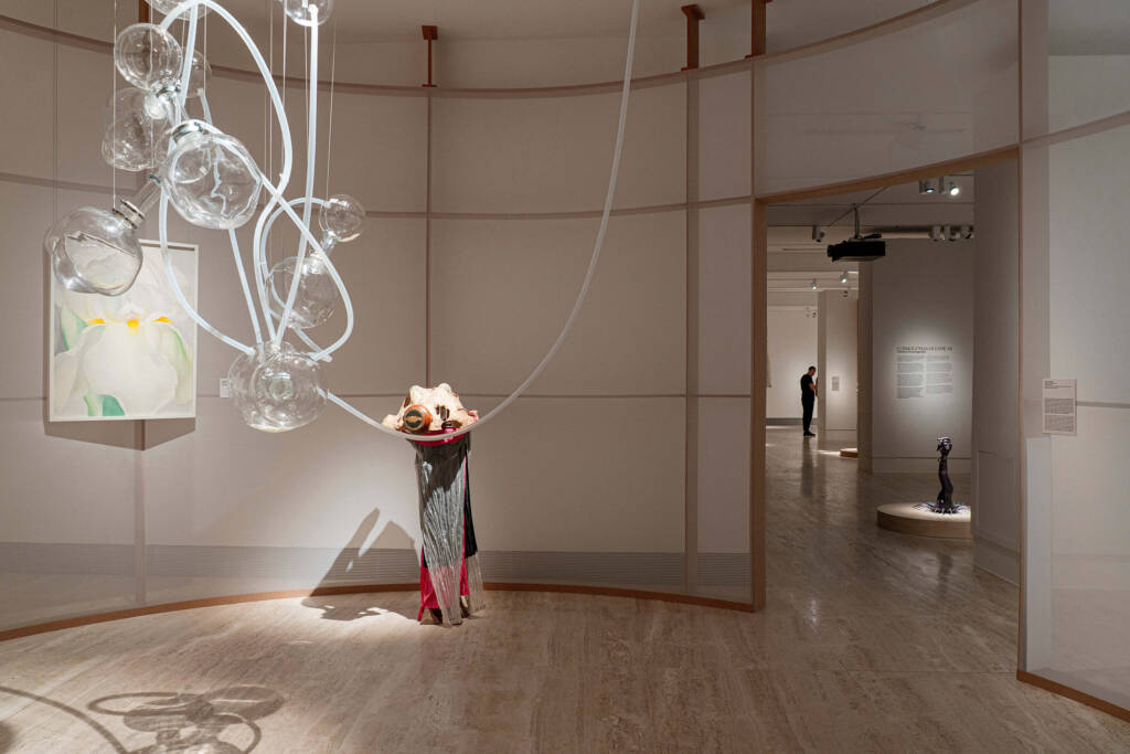 human-nature relationship
Beyond the Human
ecology and art
more-than-human perspective