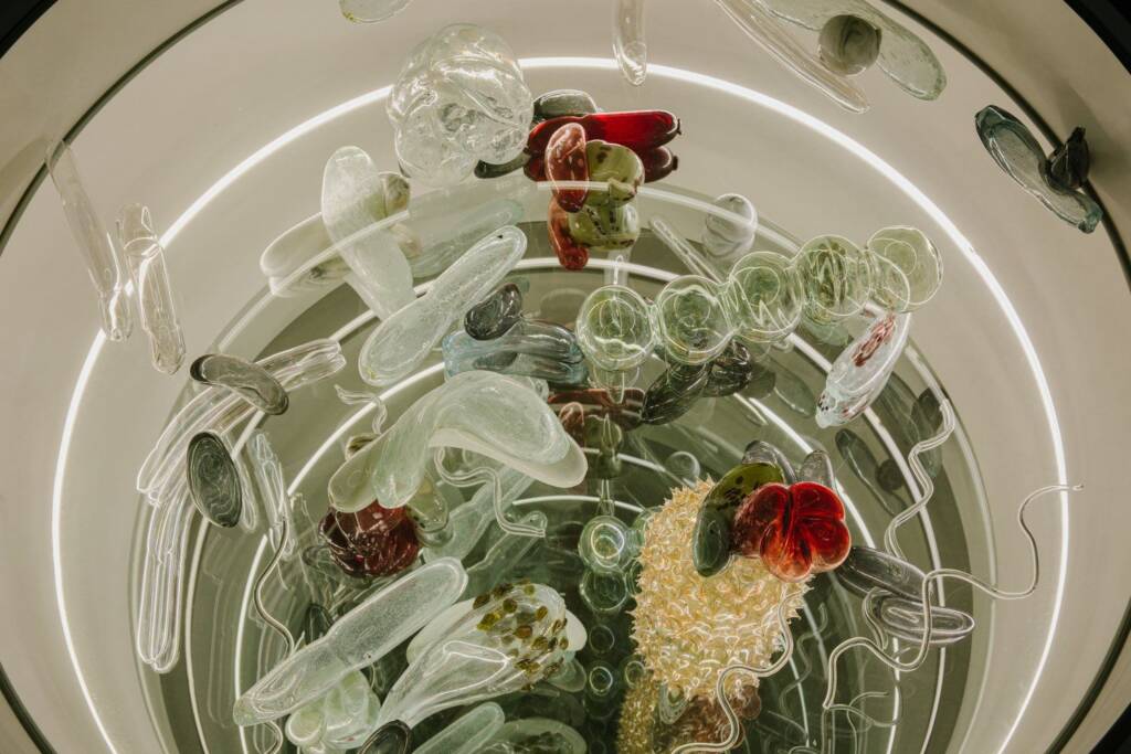 human-nature relationship Beyond the Human ecology and art more-than-human perspective