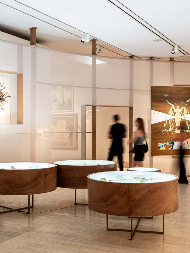 human-nature relationship
Beyond the Human
ecology and art
more-than-human perspective
