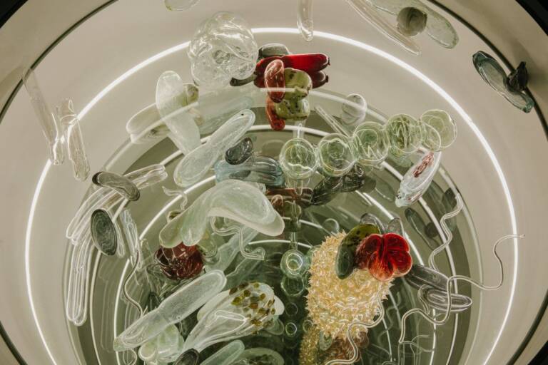 human-nature relationship Beyond the Human ecology and art more-than-human perspective