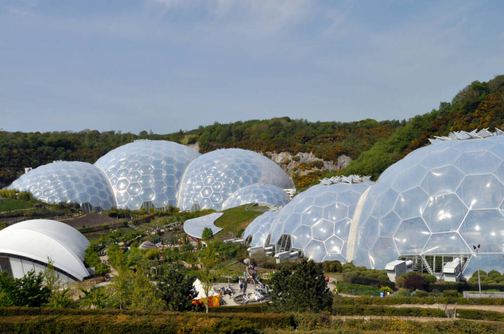 What is Biophilic Design