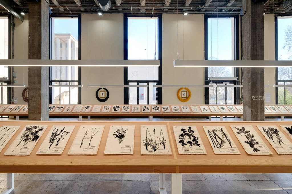 Daria de Beauvais
curatorial practice
Indigenous arts