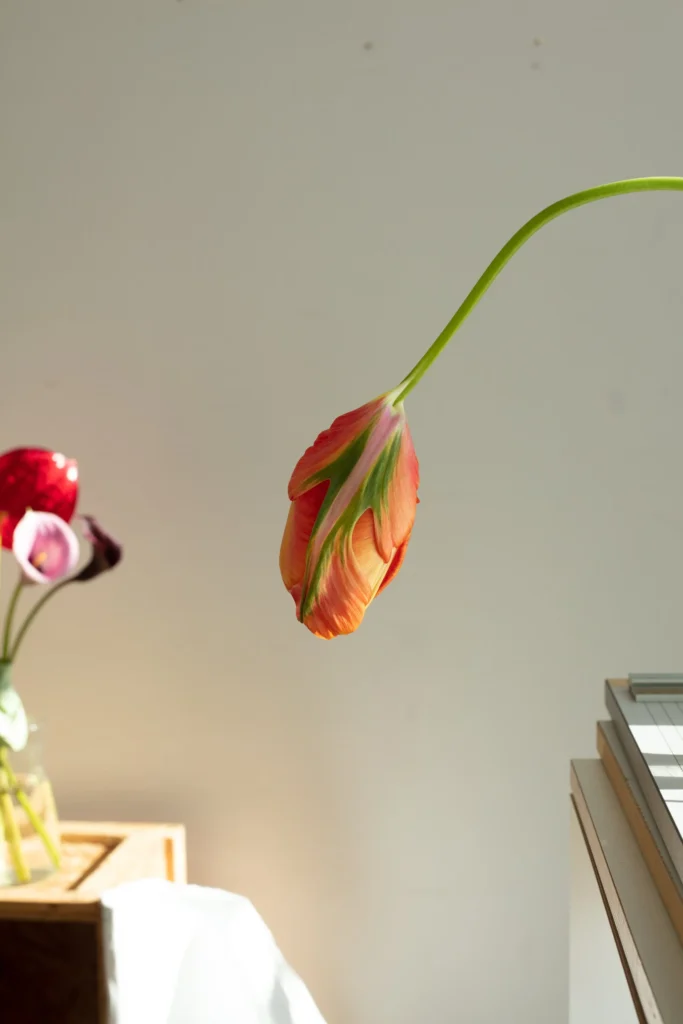 Exploring Wolfgang Tillmans' creative vision in his latest exhibition in Munich 1 Wolfgang Tillmans
wolfgang tillmans photographs
photography exhibition