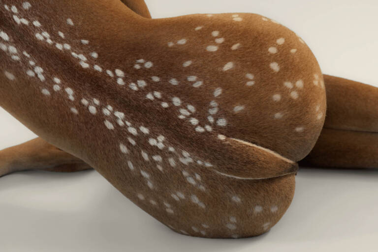 Isabelle Albuquerque