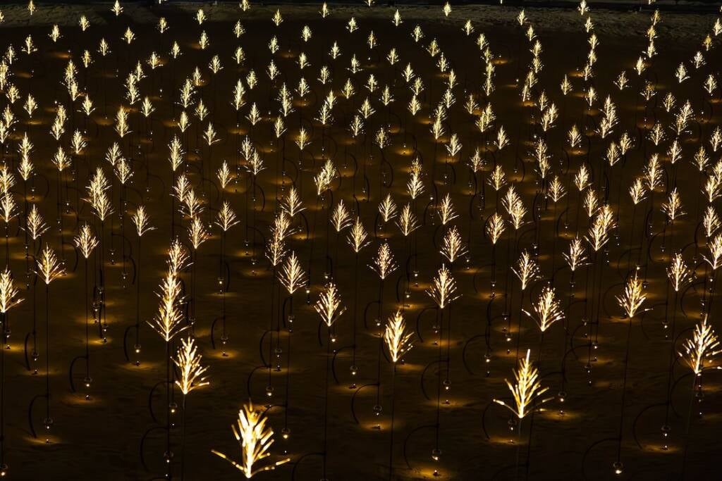 manar abu dhabi 2025
light festival
Studio DRIFT
public art