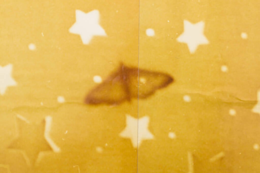 Nat Faulkner
contemporary photography
printing techniques