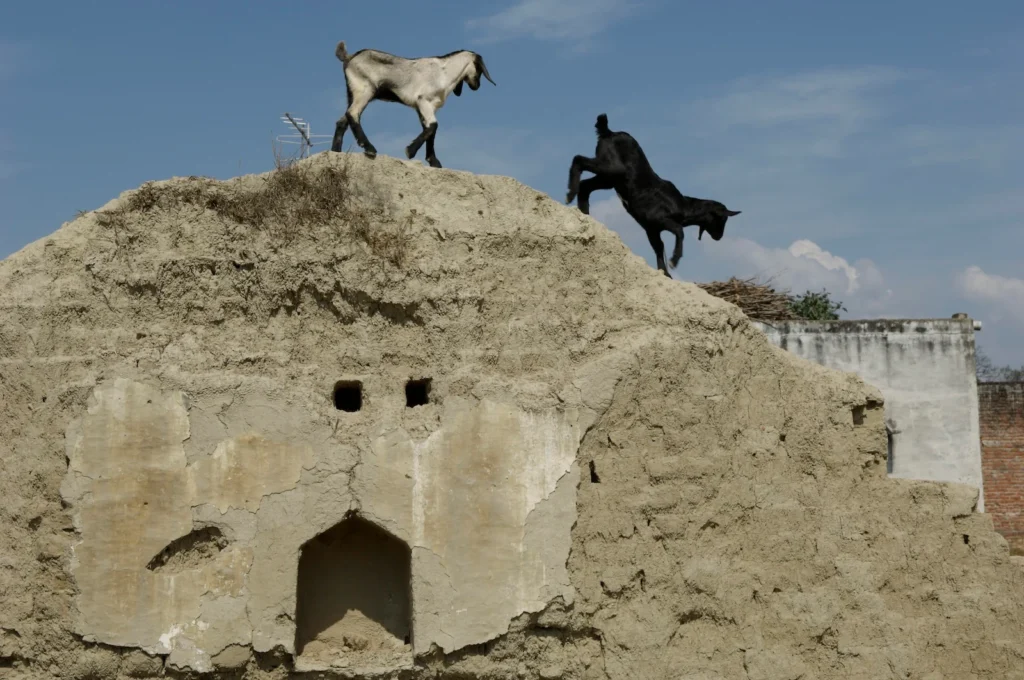 Pictures for Purpose
jack davison
Nadav Kander