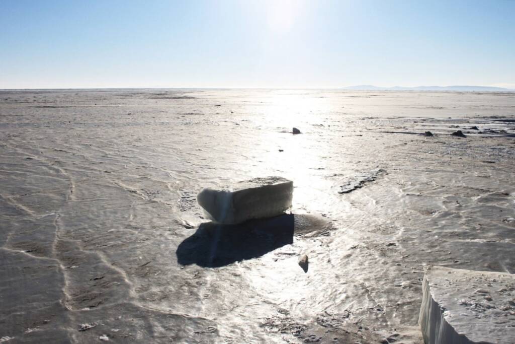 Taichung Art Museum
sanaa architecture
museum design concept
human and nature relationship in art