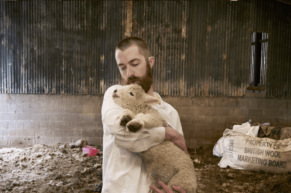 jerskin fendrix
film scoring
Poor Things film score