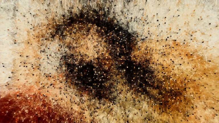 Art Basel Miami Eli Scheinman