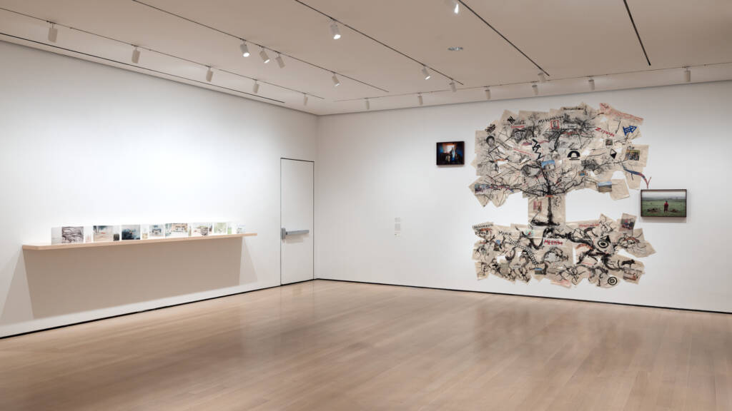 ‘New Photography 2025: Lines of Belonging’ at MoMA 4 New Photography 2025
photography exhibition
photography and identity