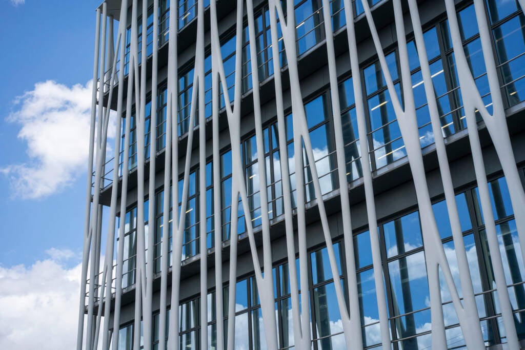 la Galerie du 19M
Beyond Our Horizons
Clara Imbert
japanese craftsmanship