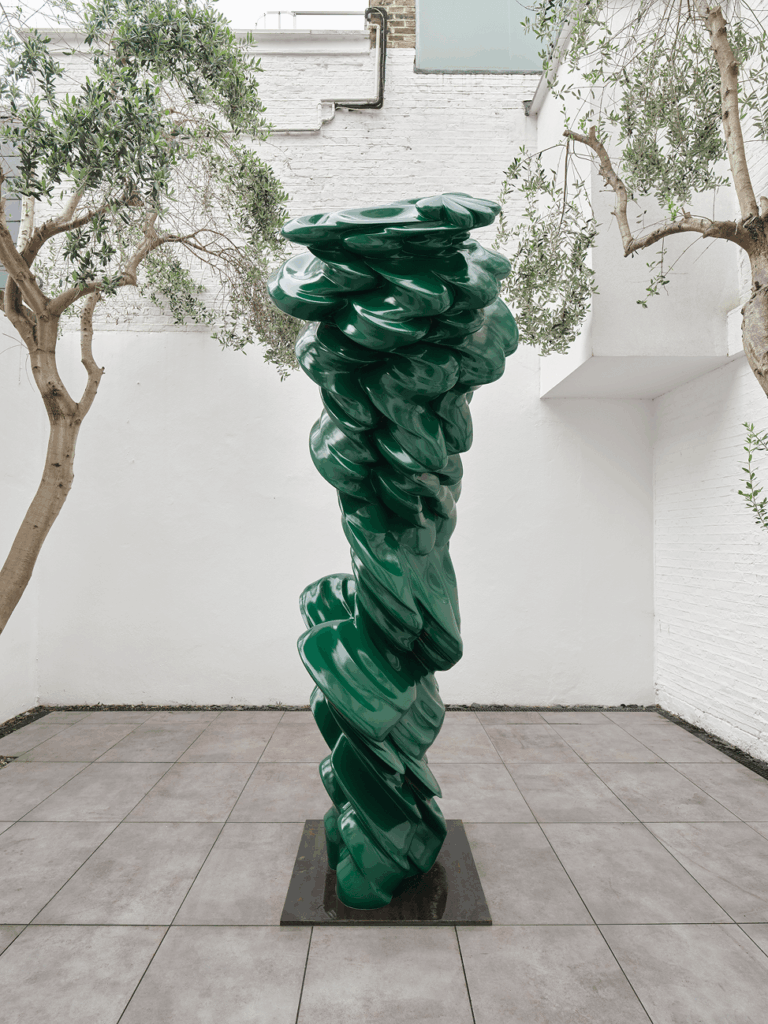 tony cragg
tony cragg interview
nature-inspired sculpture
Turner prize winner