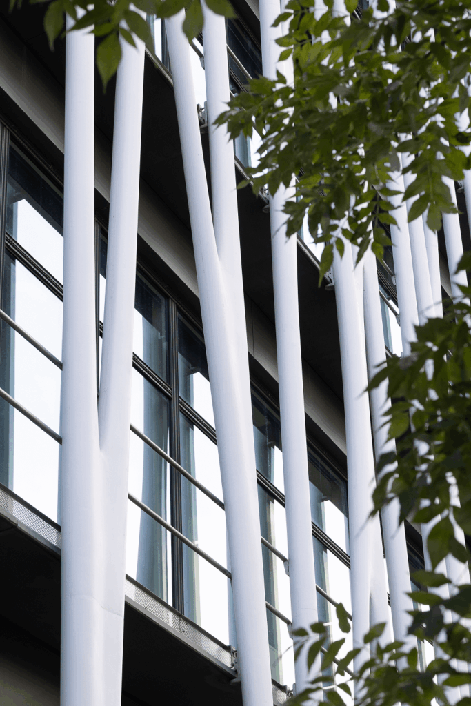 la Galerie du 19M
Beyond Our Horizons
Clara Imbert
japanese craftsmanship