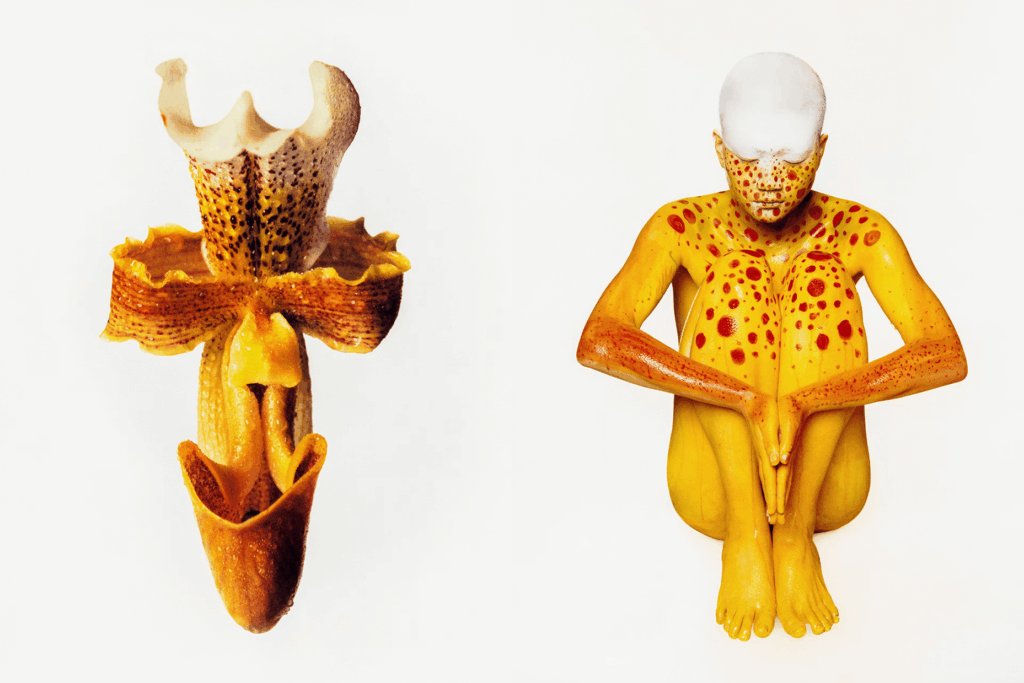 Cho Gi-Seok
Fotografiska Shanghai
Korean visual artist
futurist aesthetics