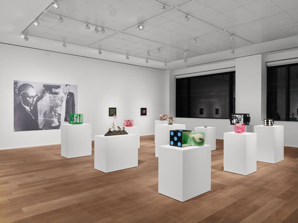 Takesada Matsutani
Tetsumi Kudo
Gutai Art Association