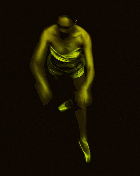 New York City Ballet Art Series
Thibaut Grevet
contemporary dance photography