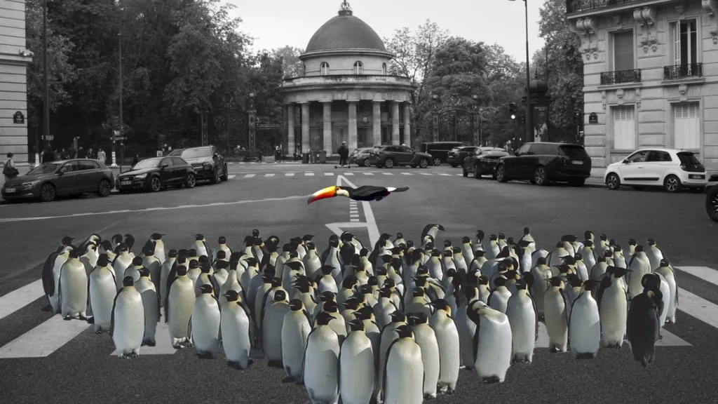 Animals in the City
Urban ecology conference
Stefano Boeri