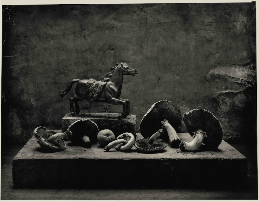 Don McCullin Photography exhibition Roman sculptures
