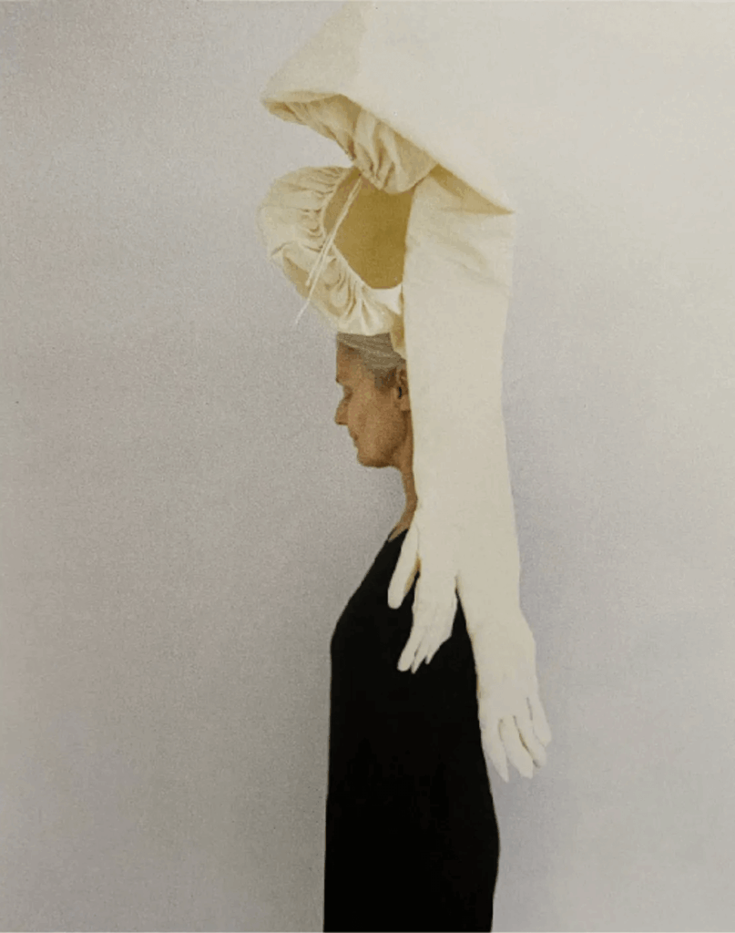 olivier saillard
Fondation Cartier
Fashion exhibition
history of fashion